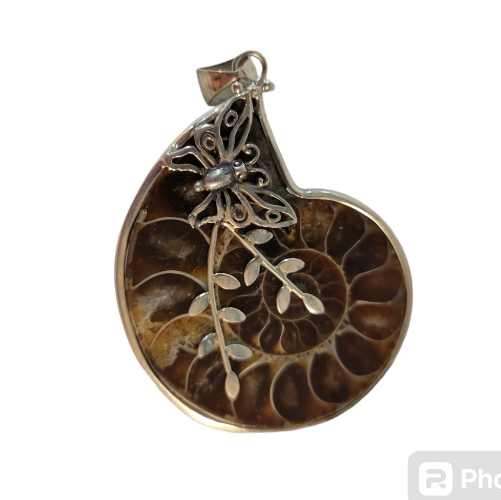 Ammonite Fossil Pendant W Sterling Silver Butterfly Leaf Pattern